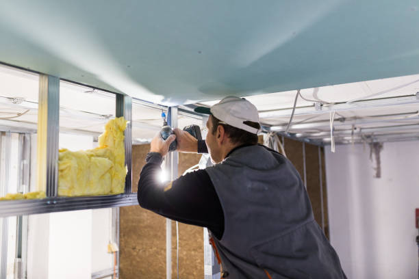 Best Garage Insulation Installation  in Collierville, TN