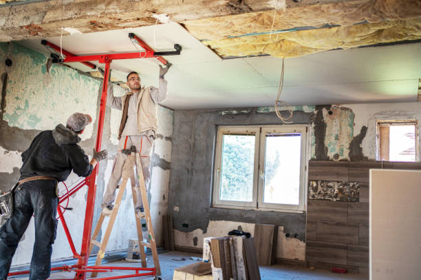 Best Professional Insulation Contractor  in Collierville, TN