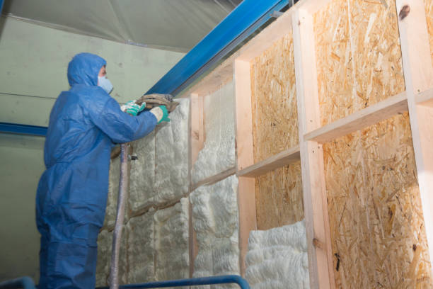 Best Insulation Contractor Near Me  in Collierville, TN
